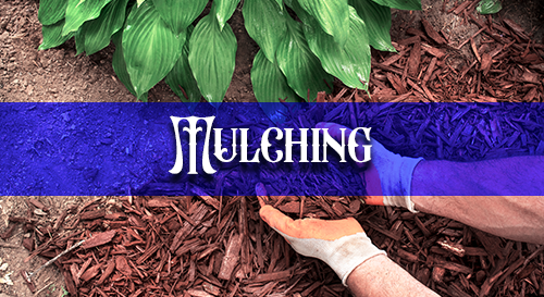 Mulching